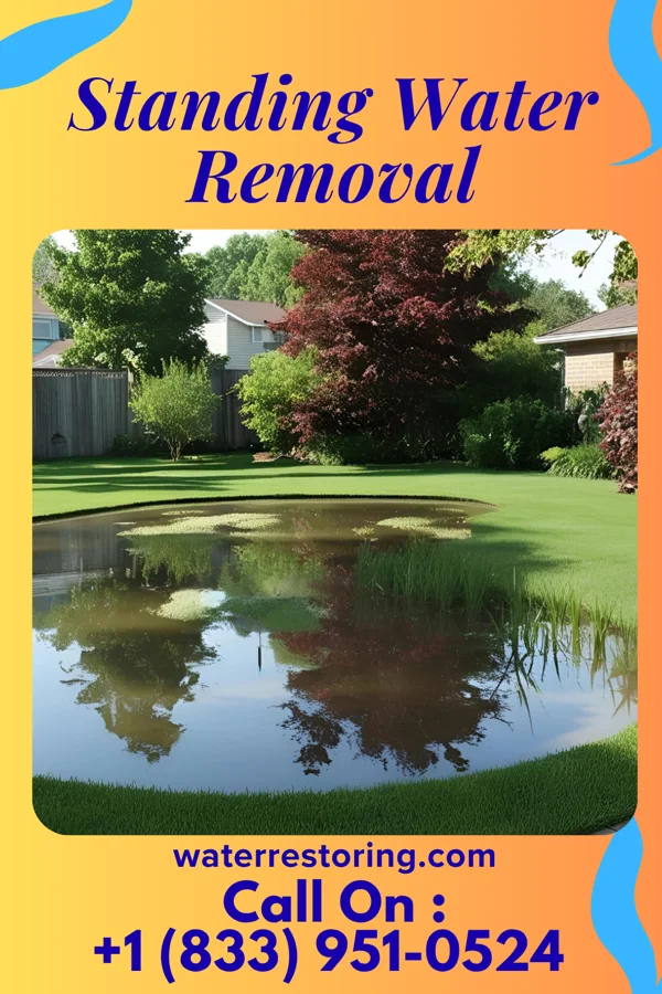 Standing Water Removal in Selmont-West Selmont, AL